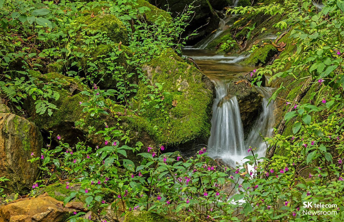 에버랜드 포레스트캠프의 숲캉스 성인 숲산책에서 본 자연 풍경