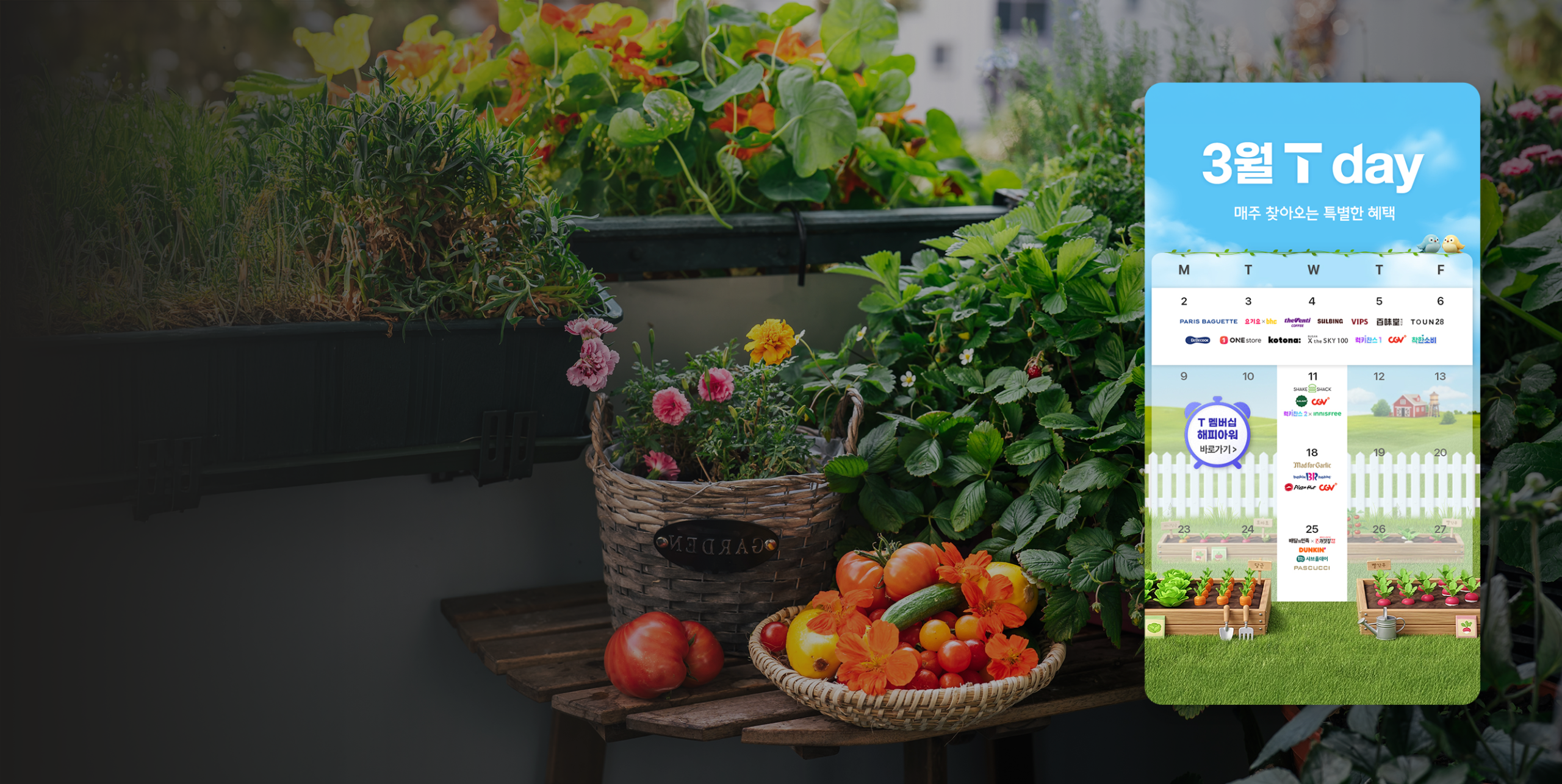 설레는 봄을 가득 채울 풍성한 3월의 T 멤버십 총정리<br />
