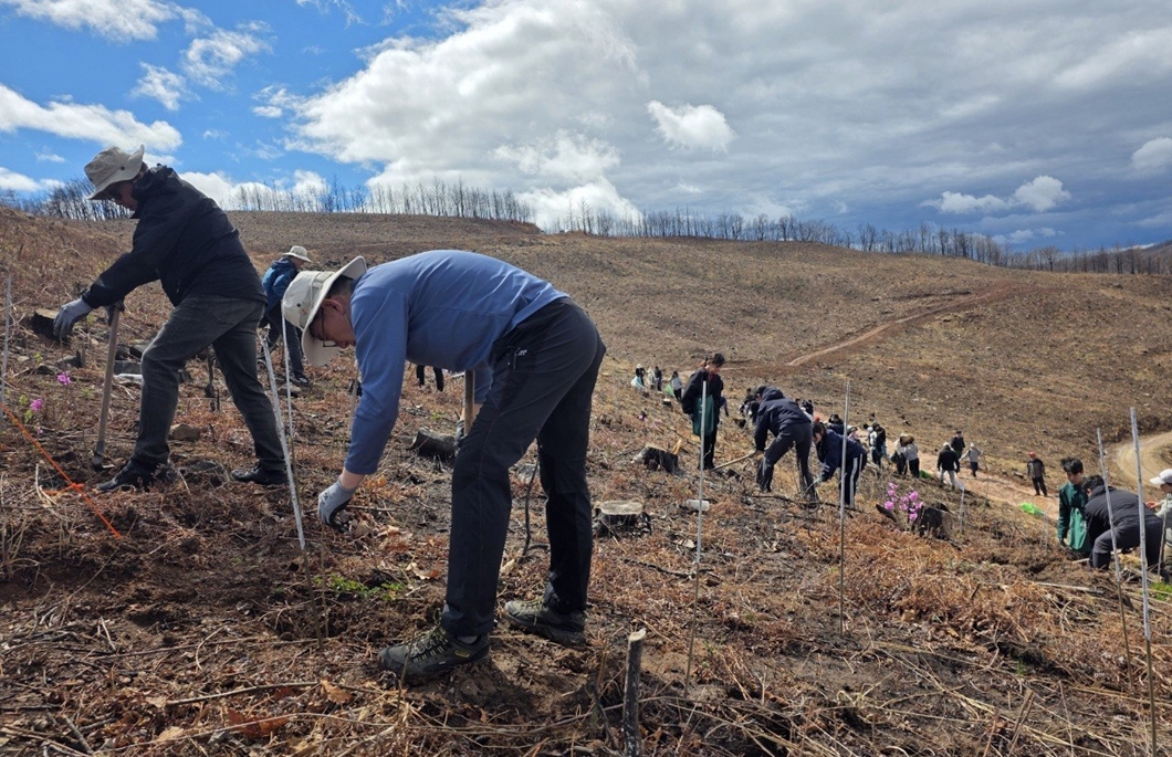 SKT와 유한킴벌리 임직원•가족 100여 명이 안동 산불 피해 지역에서 나무심기 활동을 하고 있는 모습