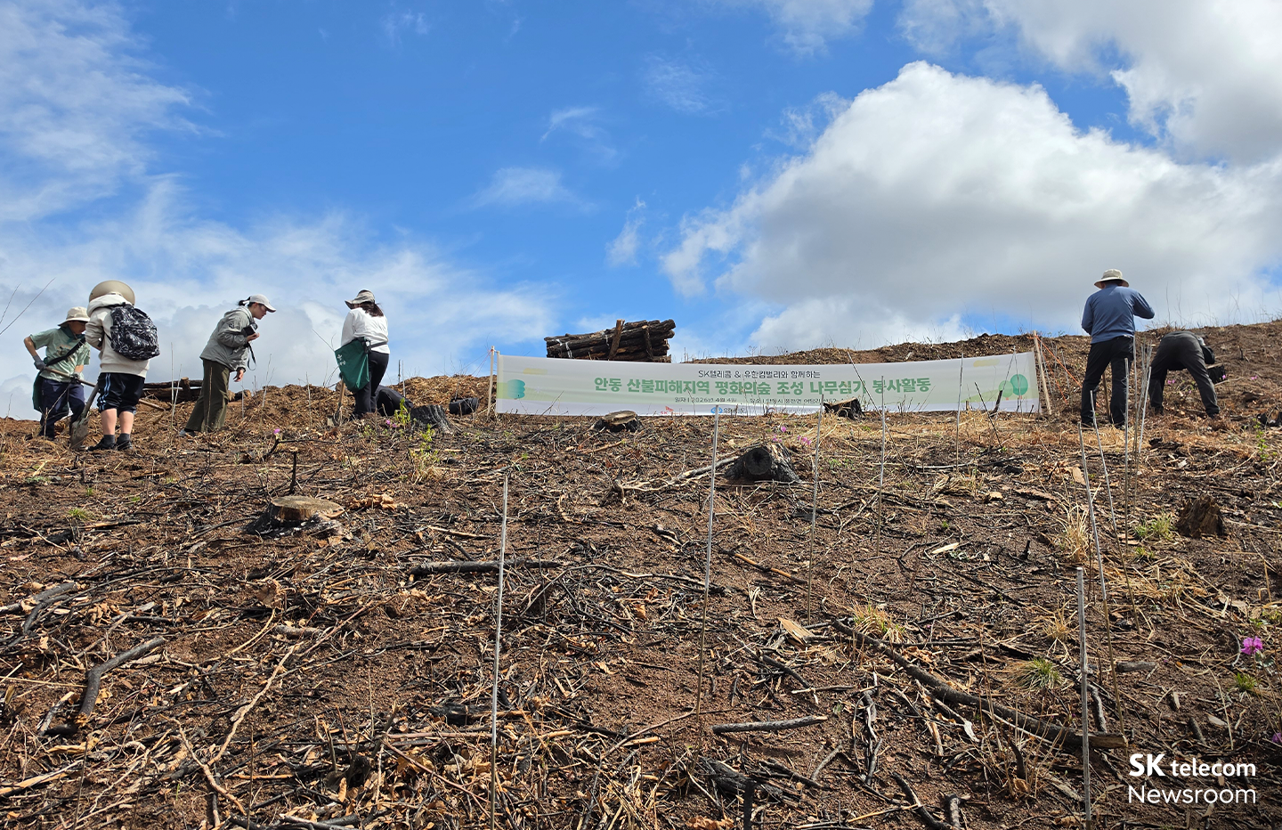 평화의숲 구성원들과 SKT•유한킴벌리 구성원 및 가족들이 나무를 심고 있는 모습.