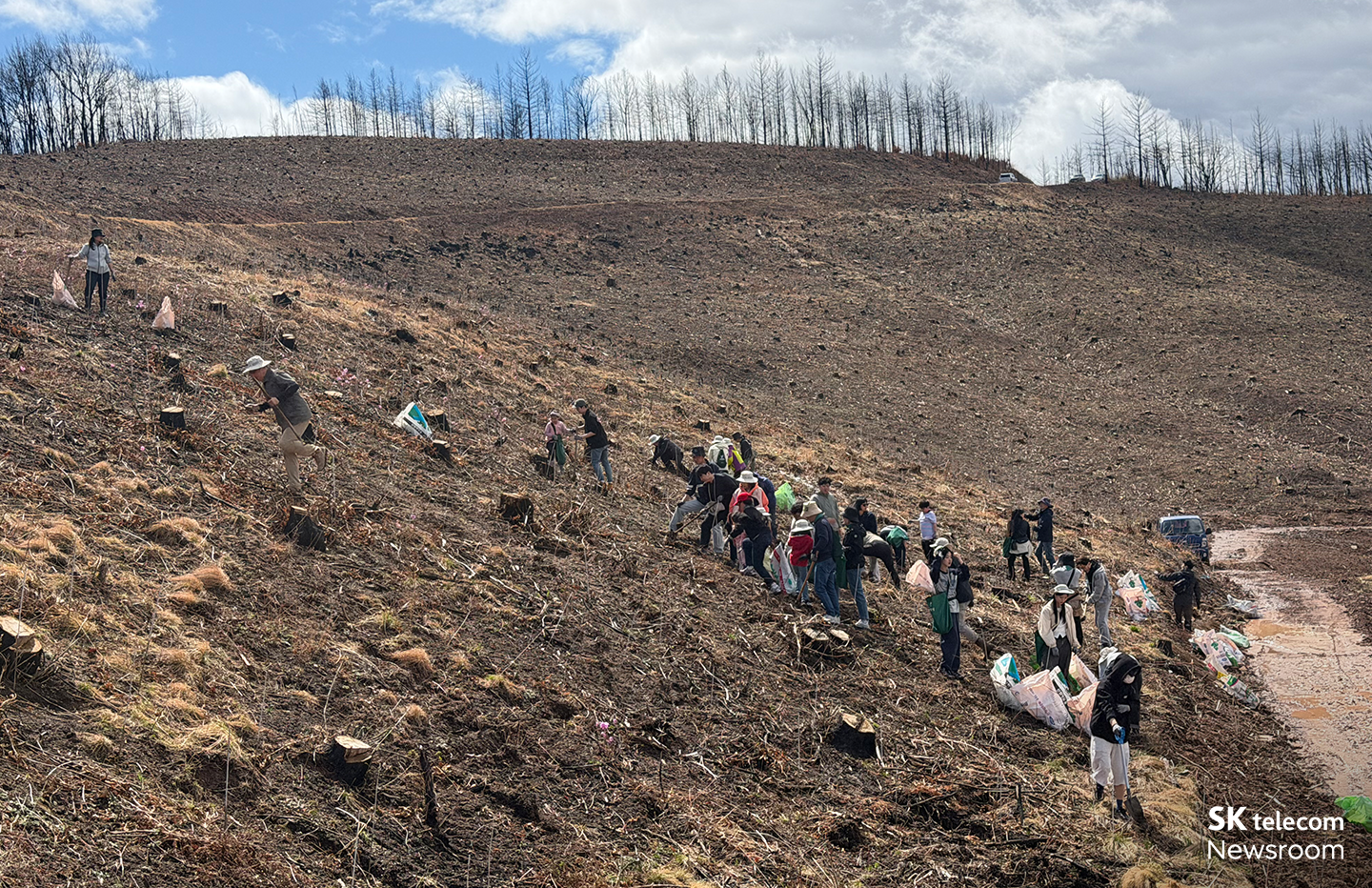SKT 구성원들이 나무심기 행사에 참여하는 모습