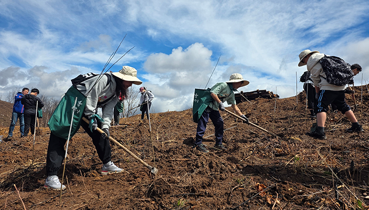 평화의숲 구성원들과 SKT•유한킴벌리 구성원 및 가족들이 나무를 심고 있는 모습.