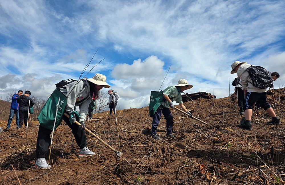 평화의숲 구성원들과 SKT•유한킴벌리 구성원 및 가족들이 나무를 심고 있는 모습.