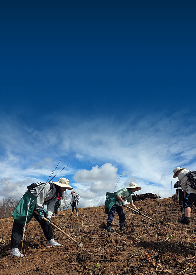 평화의숲 김재현 대표가 말하는 안동 산불피해지 복원 프로젝트