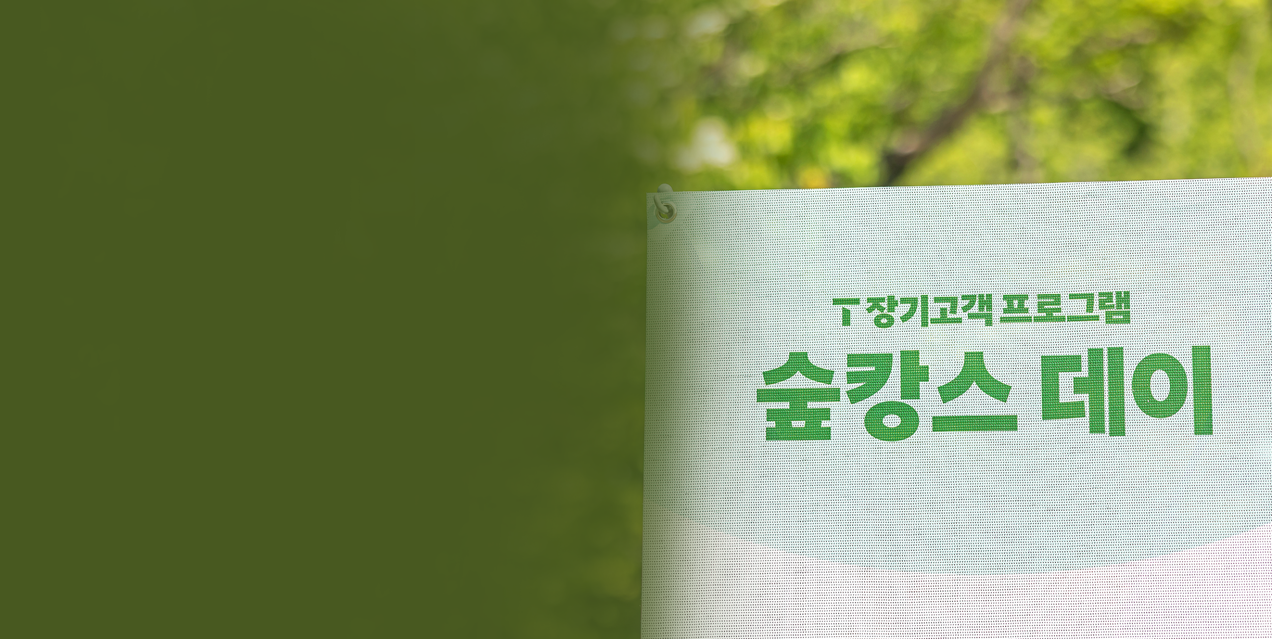 최고 863:1 경쟁률 기록한 ‘T 장기고객 숲캉스 데이’… 자연 속에서 특별한 하루