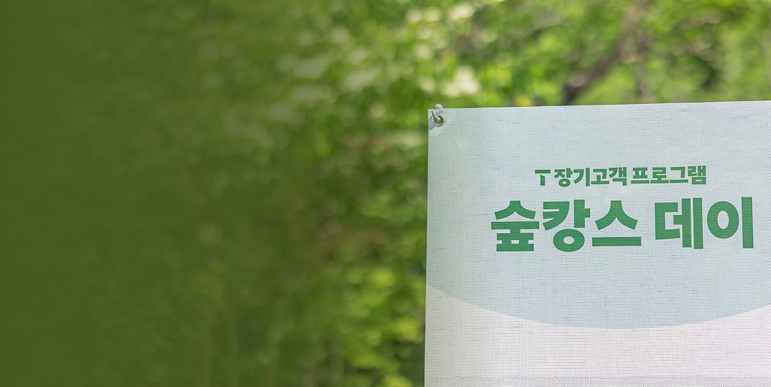 최고 863:1 경쟁률 기록한 ‘T 장기고객 숲캉스 데이’… 자연 속에서 특별한 하루